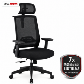 Bürostuhl | Victor | Ergonomischer Mesh-Schreibtischstuhl mit Kopfstütze, Lordosenstütze & 3D-Armlehnen | 2 Farben